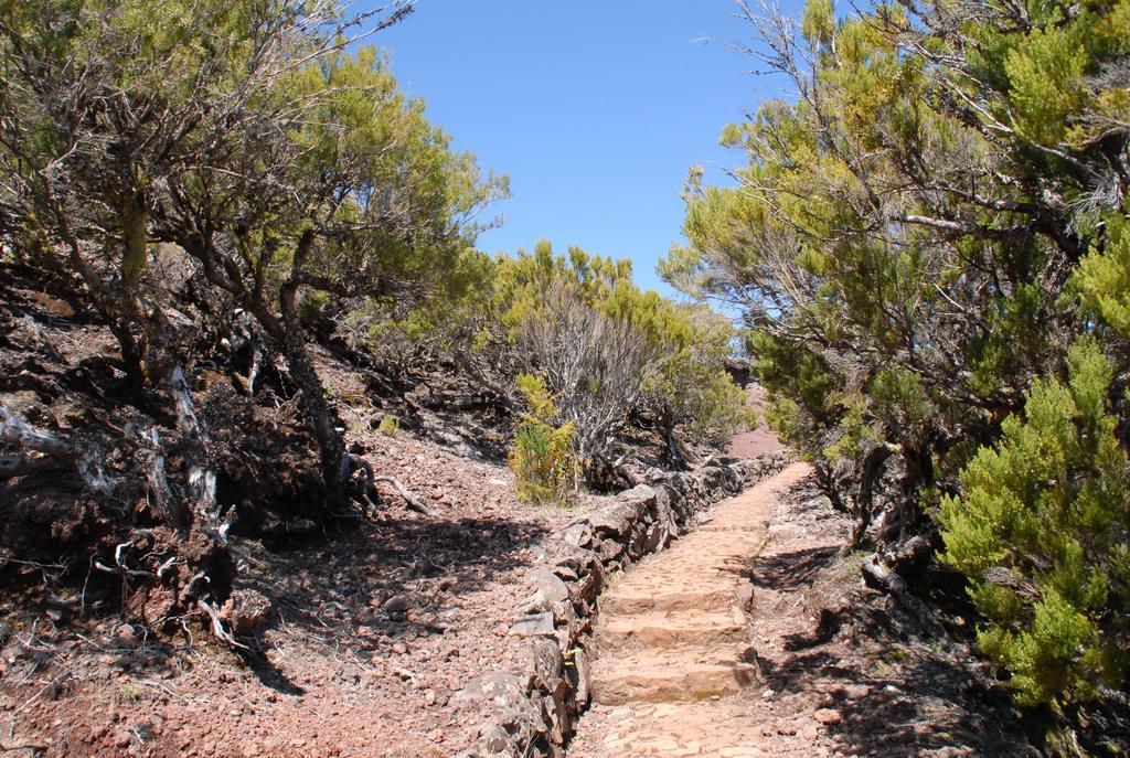 Hotel Pico Da Urze - Paul Da Serra Calheta  Zewnętrze zdjęcie