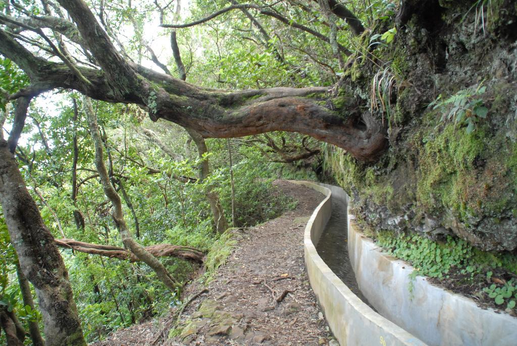 Hotel Pico Da Urze - Paul Da Serra Calheta  Zewnętrze zdjęcie