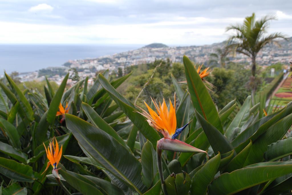 Hotel Pico Da Urze - Paul Da Serra Calheta  Zewnętrze zdjęcie