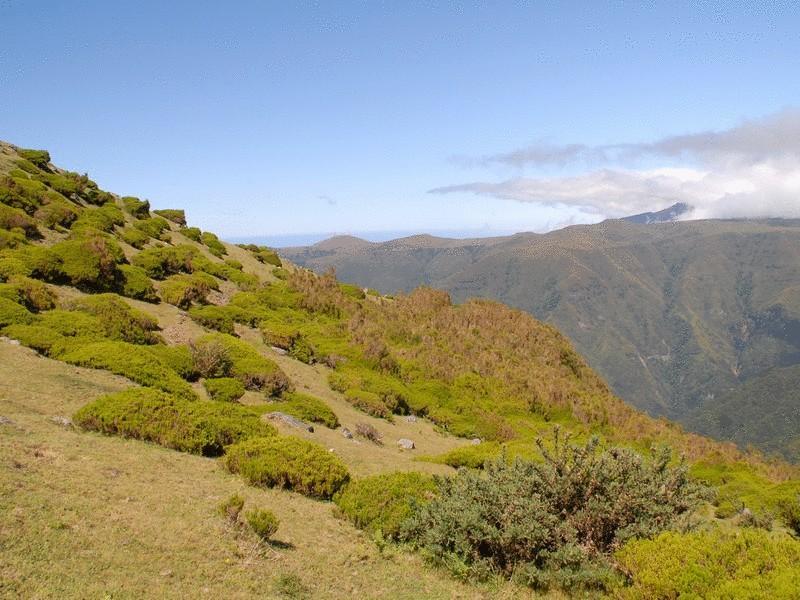 Hotel Pico Da Urze - Paul Da Serra Calheta  Zewnętrze zdjęcie