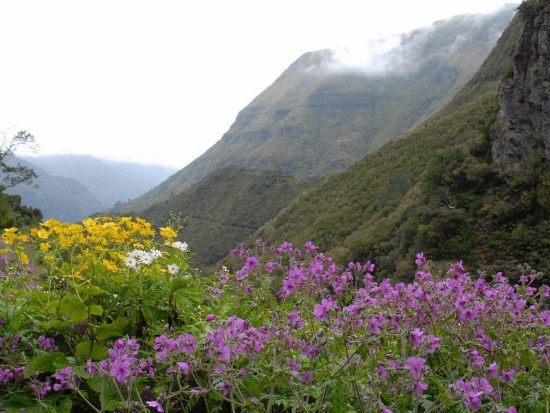 Hotel Pico Da Urze - Paul Da Serra Calheta  Zewnętrze zdjęcie